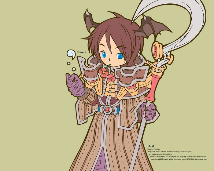 Sage from Ragnarok Online