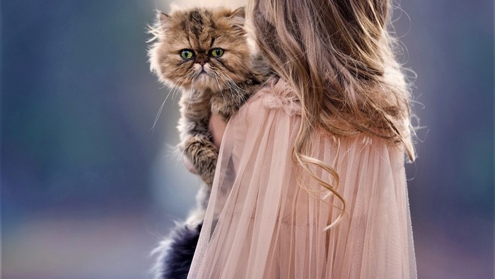 Girl holding a Persian cat