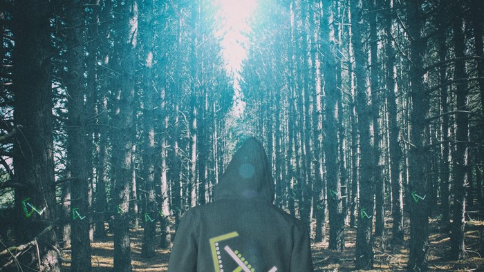 Person in a hooded jacket in a sunlit forest