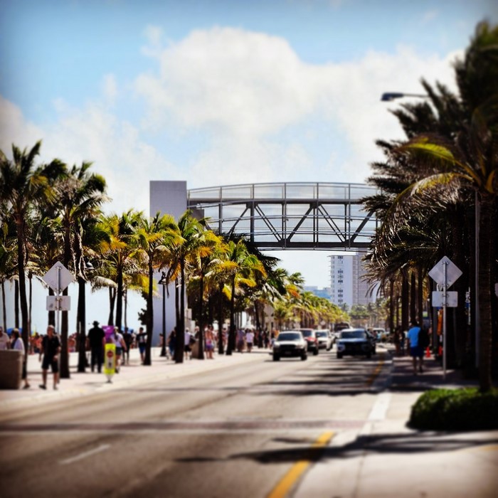Palm-lined street with pedestrian walkway and overpass
