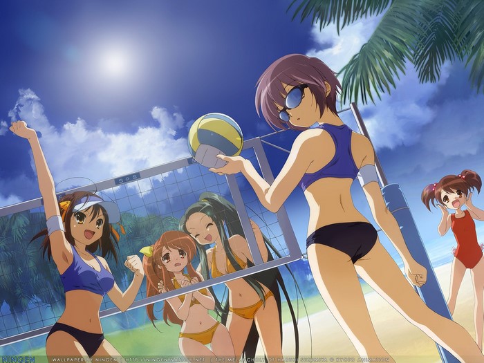 The Melancholy of Haruhi Suzumiya characters playing volleyball