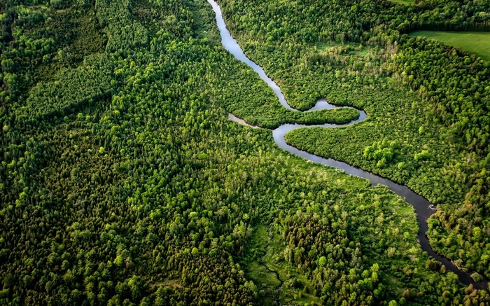 Aerial view of a winding river through a dense forest