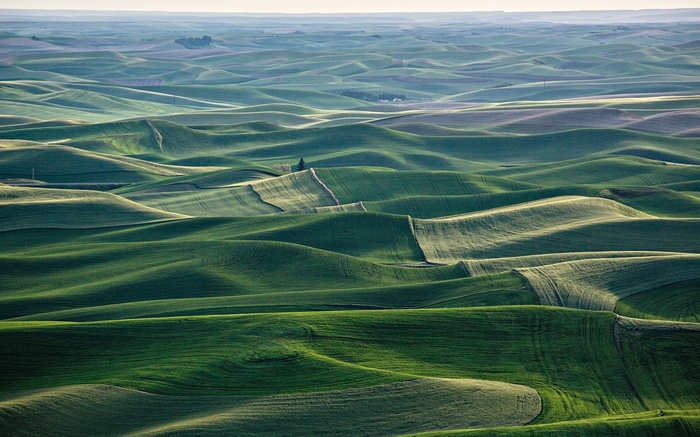 Rolling green hills under a hazy sky
