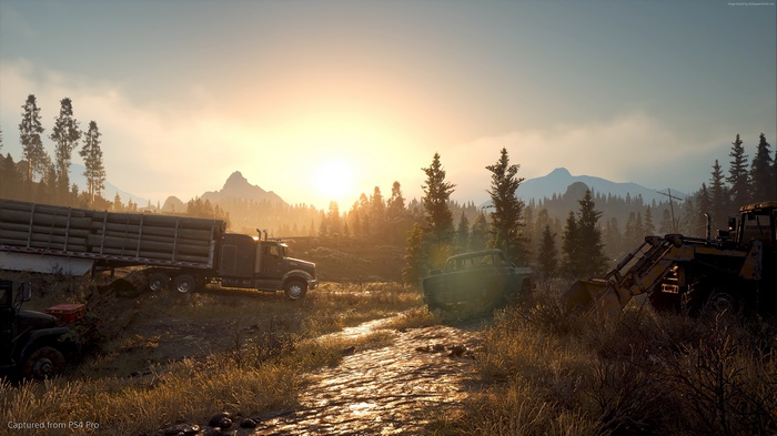 Days Gone 4K screenshot