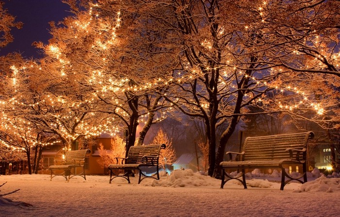 Snowy park with trees decorated with lights and benches