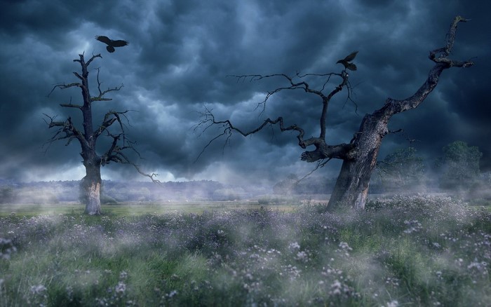 Dark stormy sky over a misty field with dead trees and birds