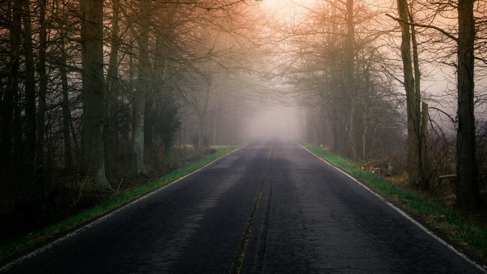 Road through a misty forest in autumn
