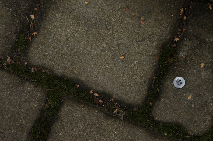 Cracked concrete with moss and a button