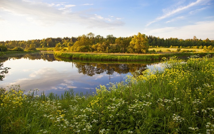 River landscape with trees and flowers