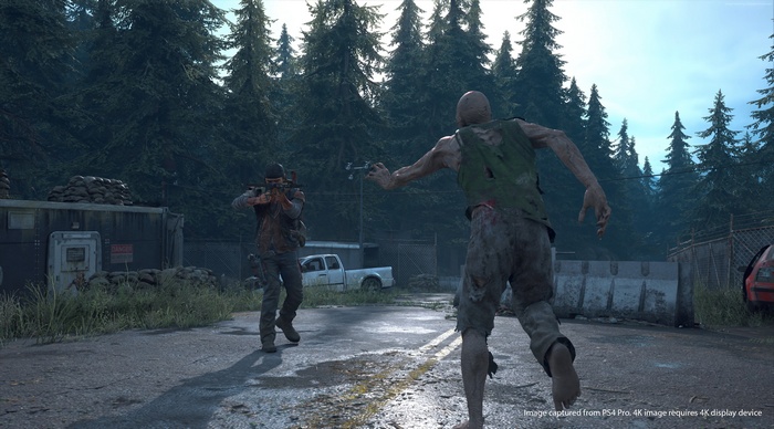 Days Gone 4K screenshot