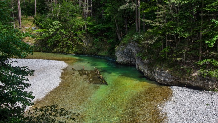 Serene Forest River with Clear Water and Rocky Banks