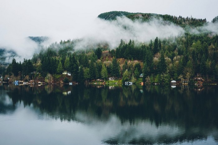 Misty forest reflecting on a calm lake with houses
