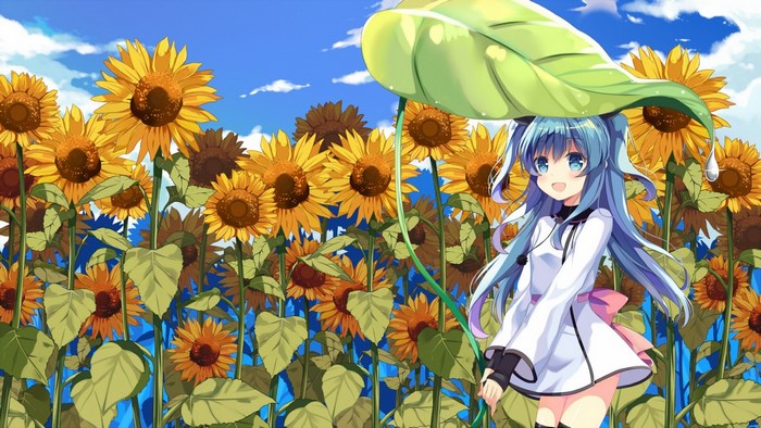 Noel from Sora no Method in a sunflower field