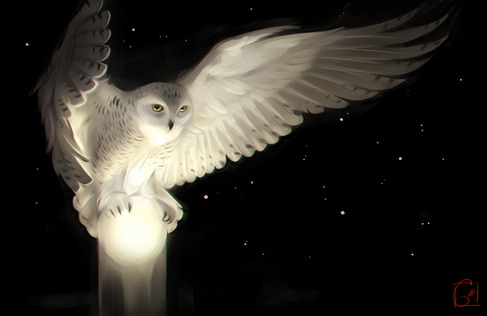 Snowy owl landing on a glowing orb at night
