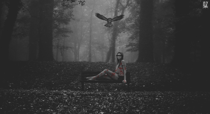 Woman with blindfold and blood splatters in a foggy forest with an owl