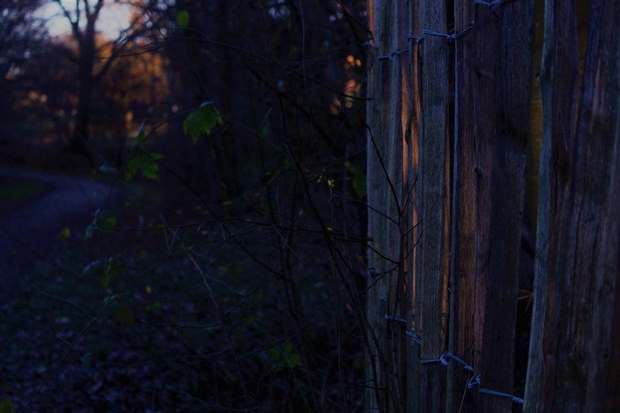 habitat fence lights