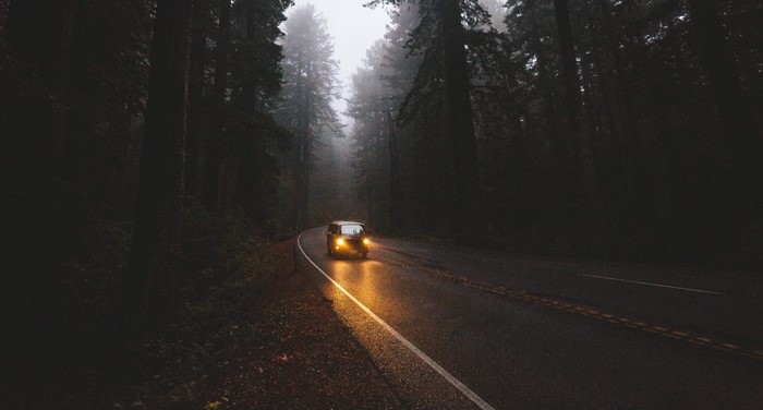 Car driving on a foggy road through a dark forest