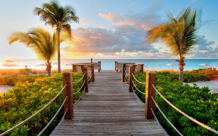 Sunset Walkway to Caribbean Beach with Palm Trees