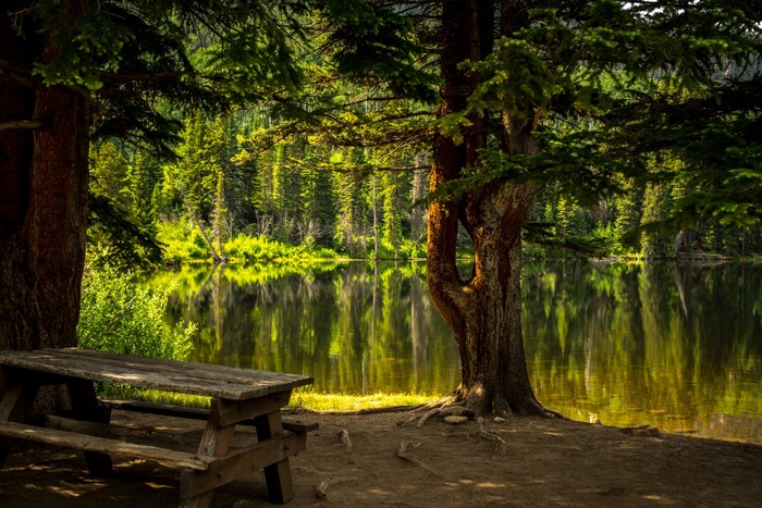 Picnic table by a lake in a forest