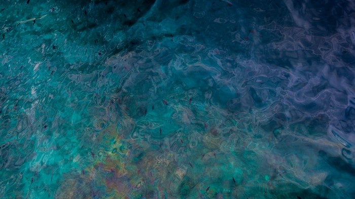Abstract pattern of turquoise and blue water with small fish