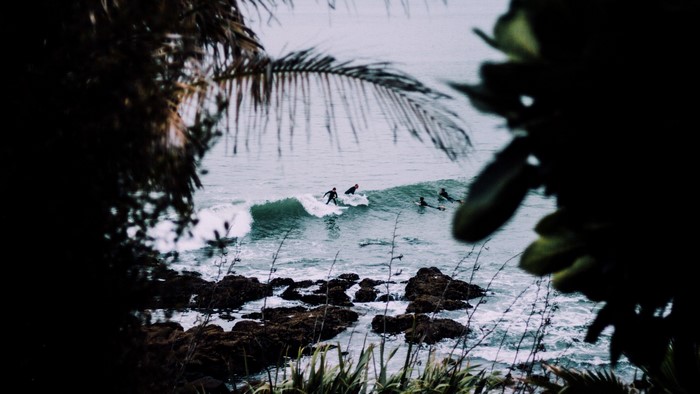 Surfers riding waves near rocky shore with palm trees