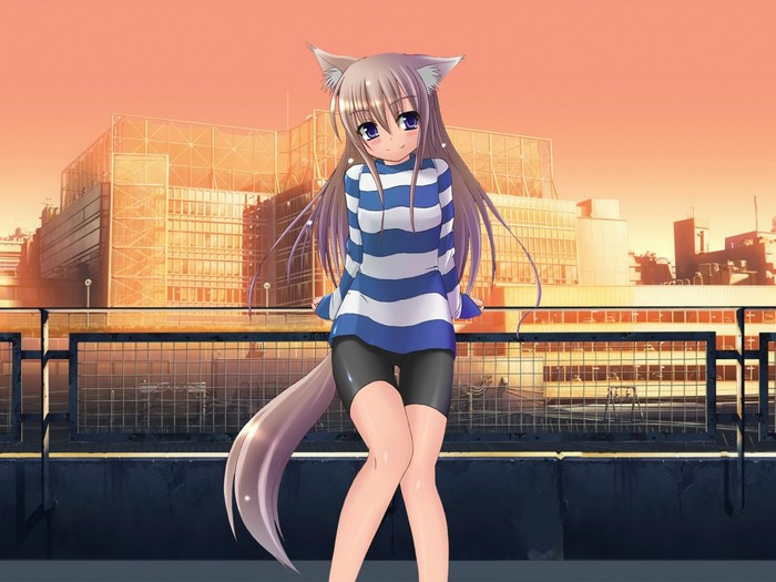 Anime girl with cat ears and tail