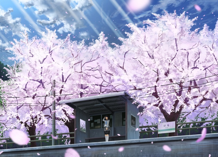 Anime girl at a train station with cherry blossoms