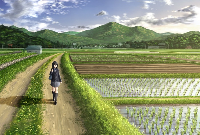 Anime girl walking on a path through rice fields
