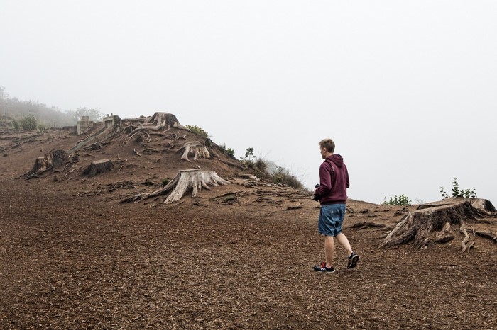 Man walking through a deforested area with tree stumps