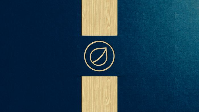 Minimalist logo with leaf inside circle on blue background