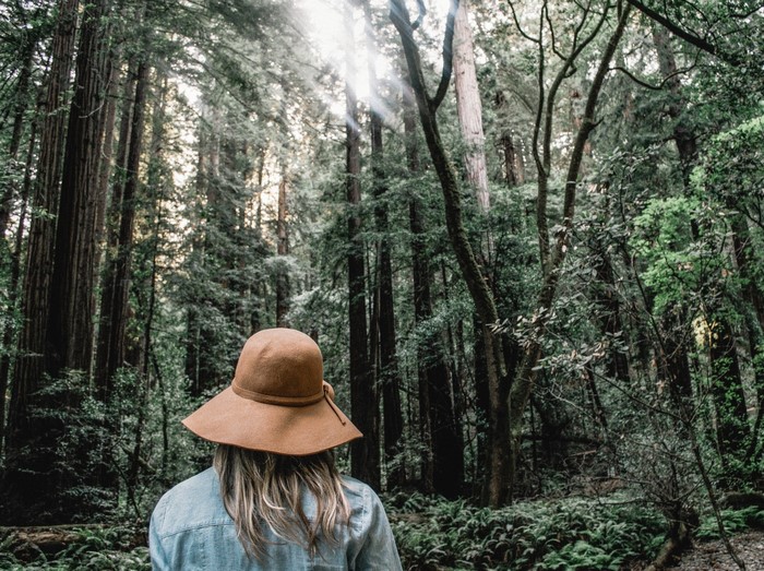 Woman wearing a hat in a redwood forest
