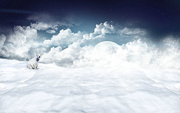 Polar bear in a snowy landscape under a starry sky with a large moon