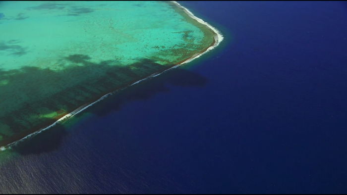Aerial view of a coral reef and deep blue ocean