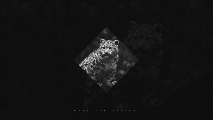 Monochrome Snow Leopard Minimalist Art