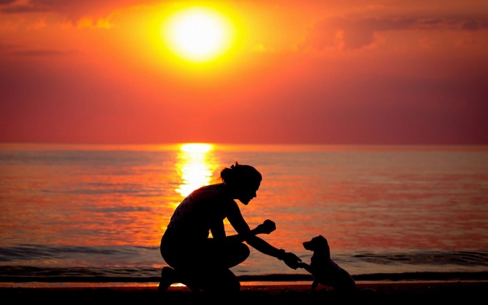 Silhouette of a woman and dog at sunset on a beach