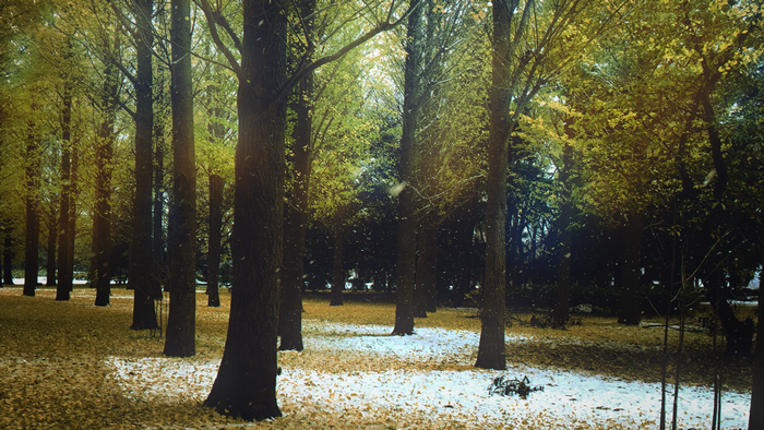 Snowfall in an autumn forest with fallen leaves