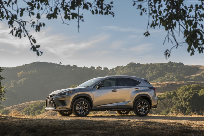 2018 Lexus NX 300 F Sport SUV