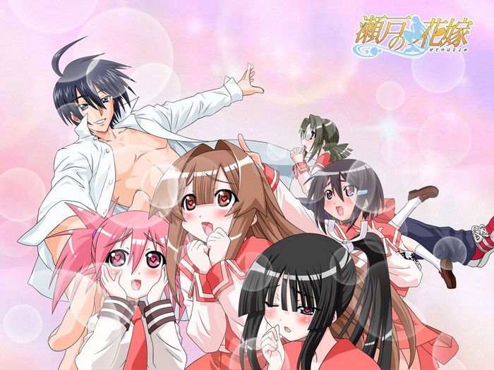 Seto no Hanayome anime characters