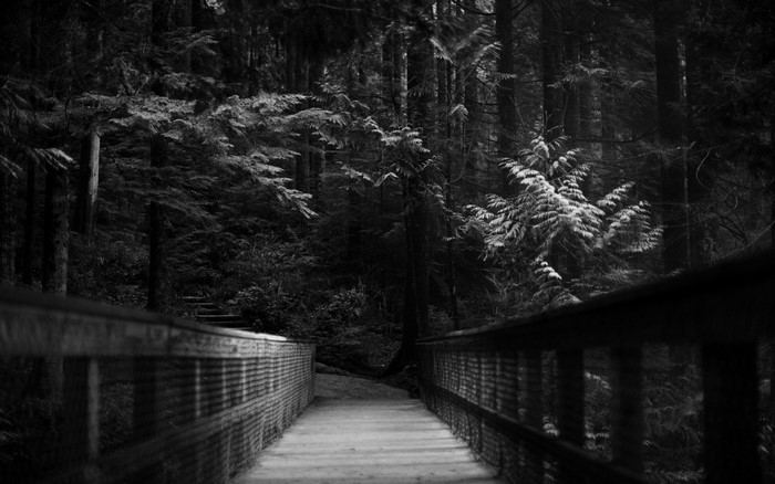 Wooden bridge in a dark, snowy forest
