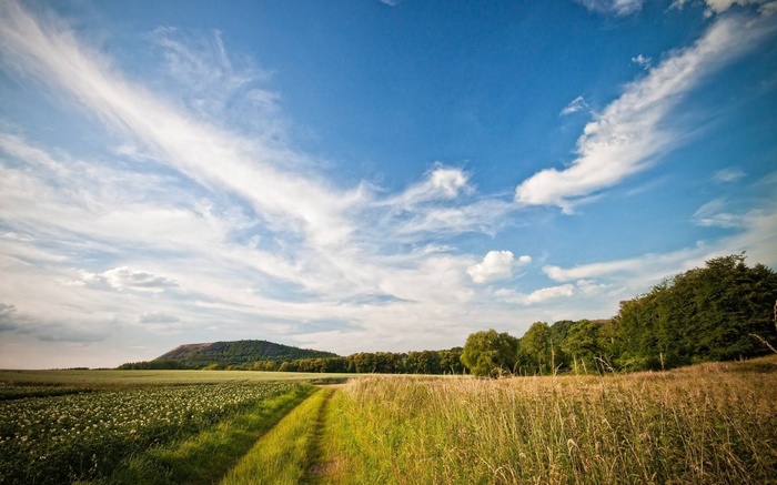 A dirt path leads through fields towards a tree-lined hill under a cloudy sky.