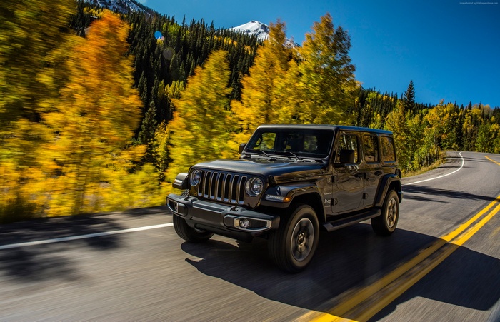 Black Jeep Wrangler driving on a road with autumn trees