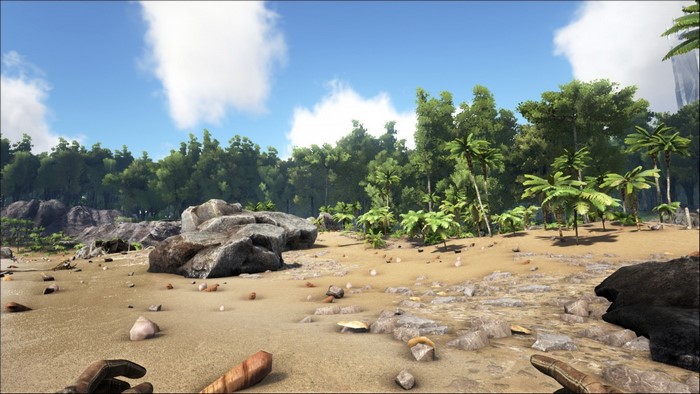 ARK: Survival Evolved beach with jungle and rocks