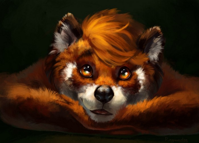 Red panda resting its head on its paws