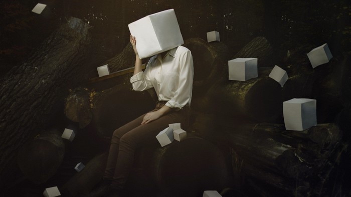 Person with cube head surrounded by cubes in dark forest