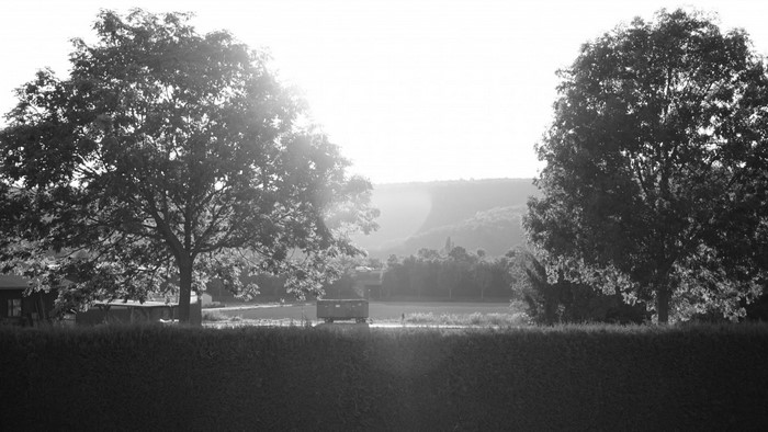 Monochrome landscape with trees and a trailer