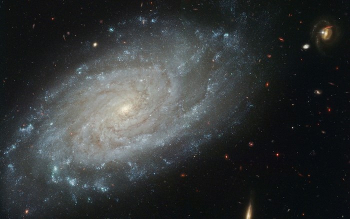 Spiral galaxy in outer space