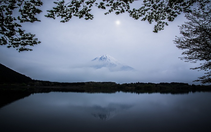 Mount Fuji reflected in a lake with foreground trees