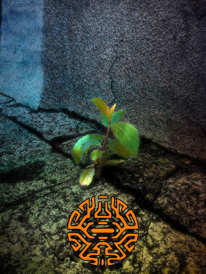 Plant growing from rock with tribal symbol