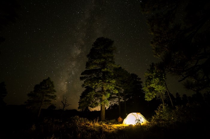 Tent under the starry night sky in a forest