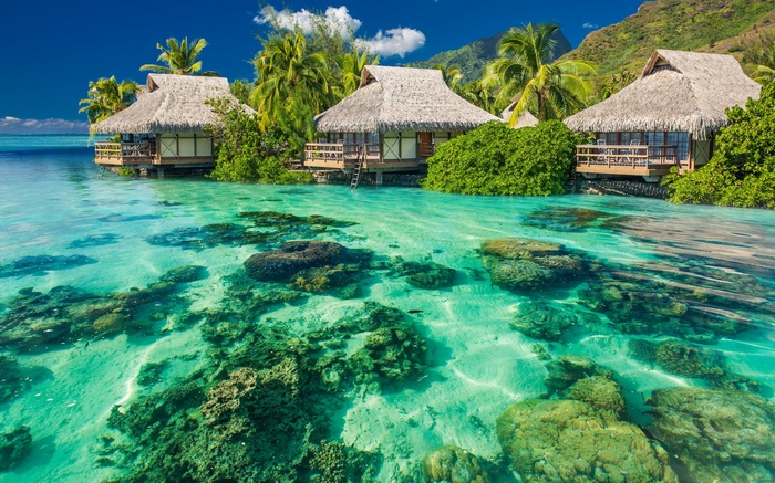 Overwater bungalows in a tropical lagoon with coral reefs